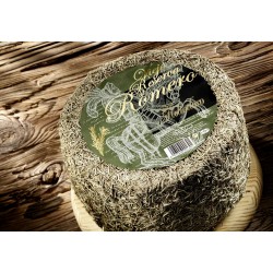 Montesinos Rosemary Sheep