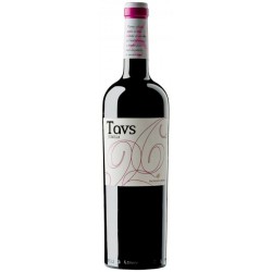 TAVS 2013